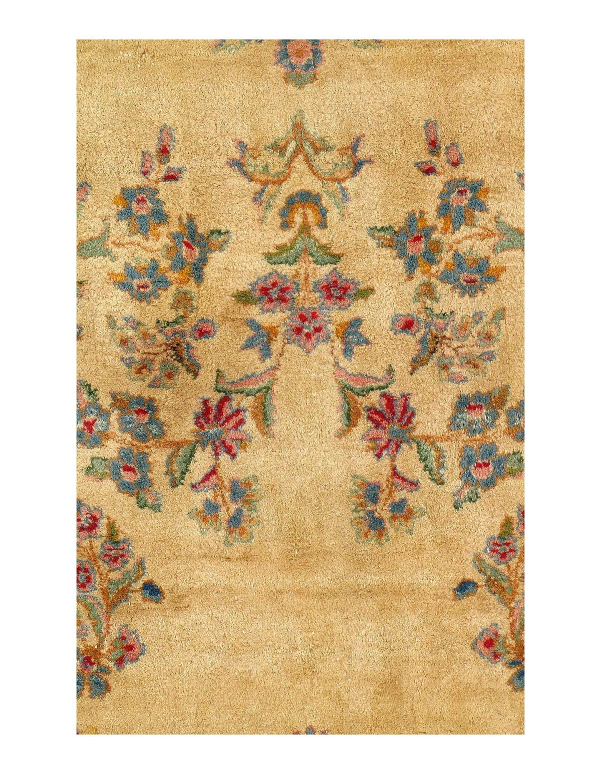 Canvello Hand - Knotted Kerman Well Woven Rugs - 11'8'' X 18'2'' - Canvello