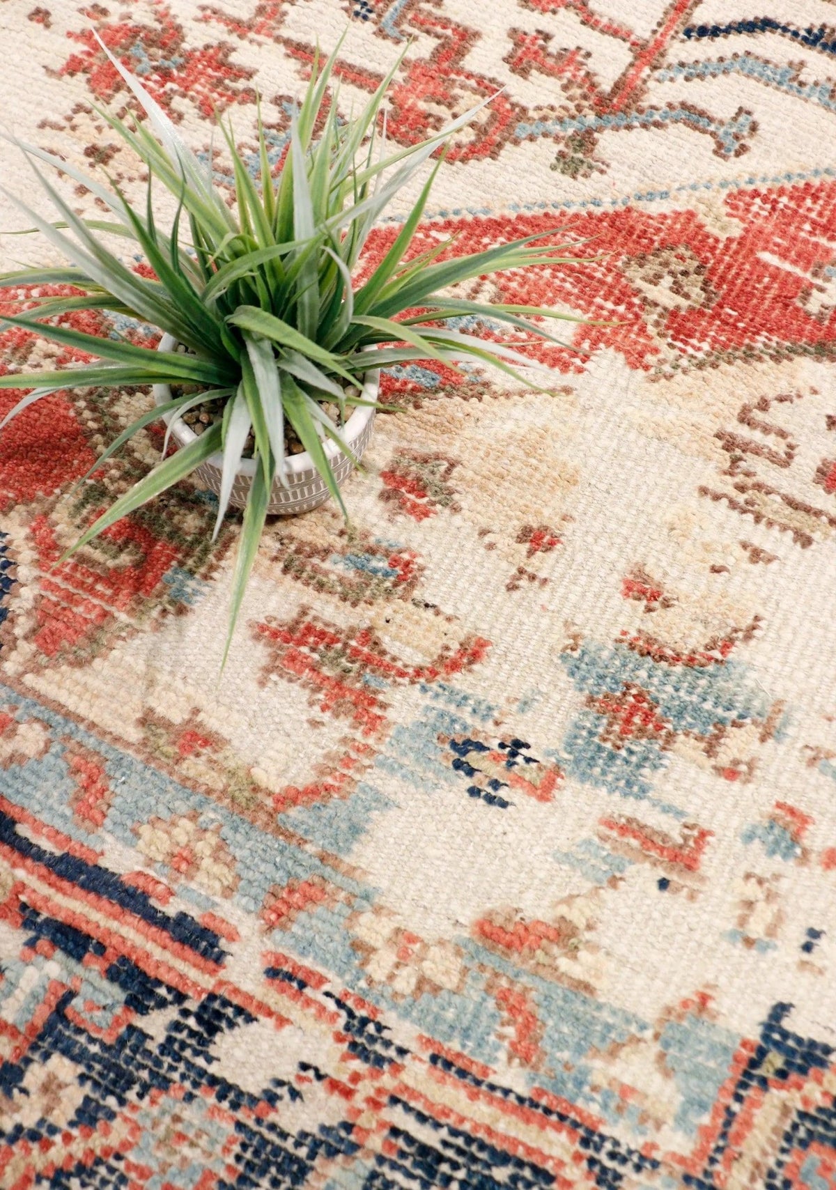 Canvello Serapi Hand - Knotted Ivory/Navy Wool Area Rug - 10'2" X 13'8" - Canvello
