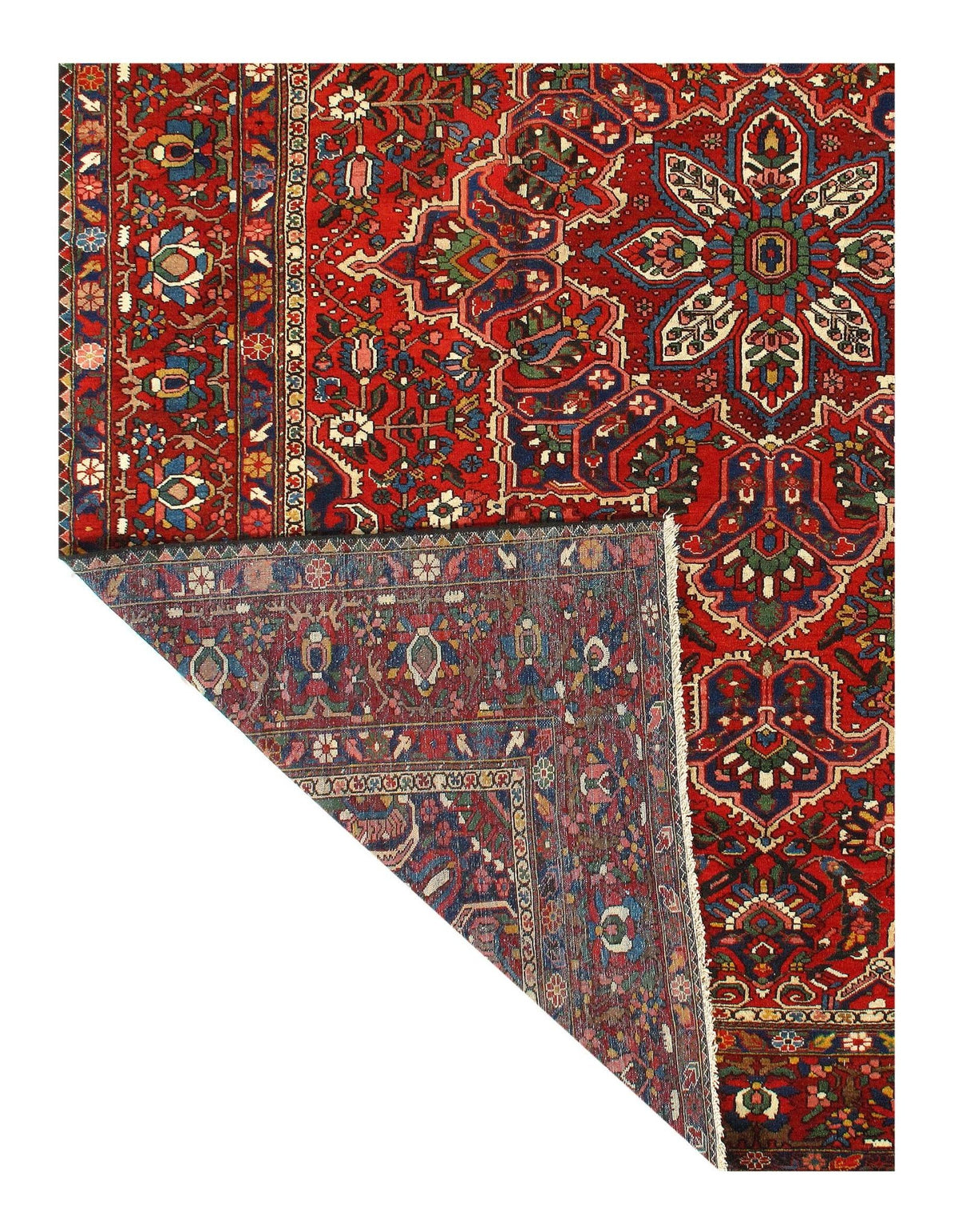 Canvello Silkroad Bakhtiari Wool Hand Knotted Rugs - 11' X 14'1'' - Canvello