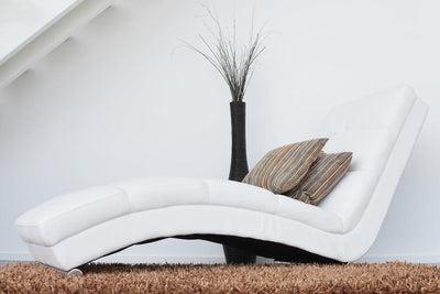 5 Reasons Why You Will Love Our Throw Cushions