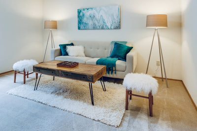 Unleashing Home Aesthetics with Decor Rugs: A Guide