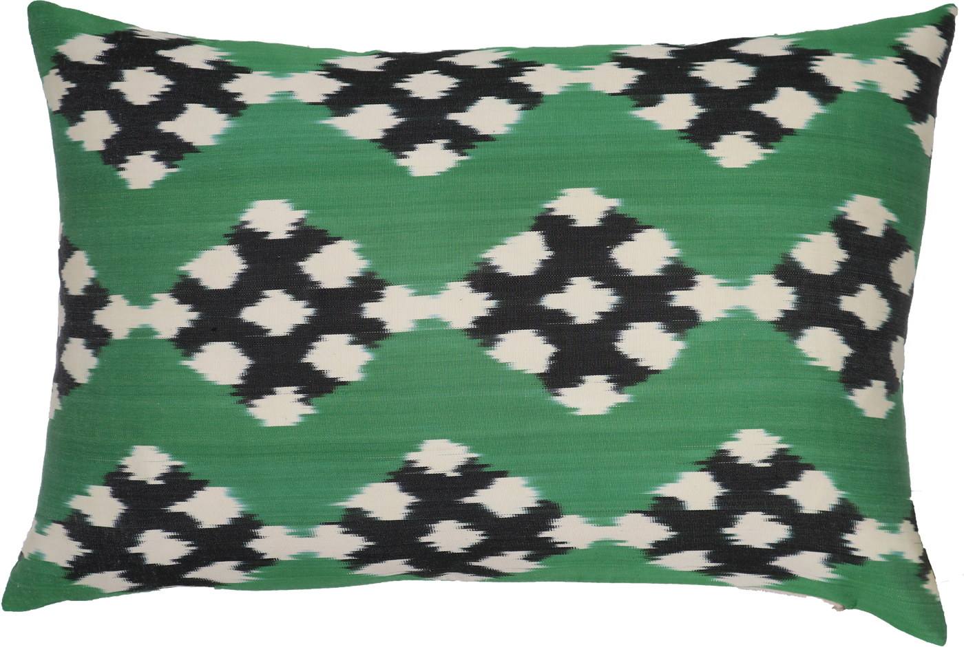 Green and Black Pillow | Handmade Silk Decorative Pillow | Canvello