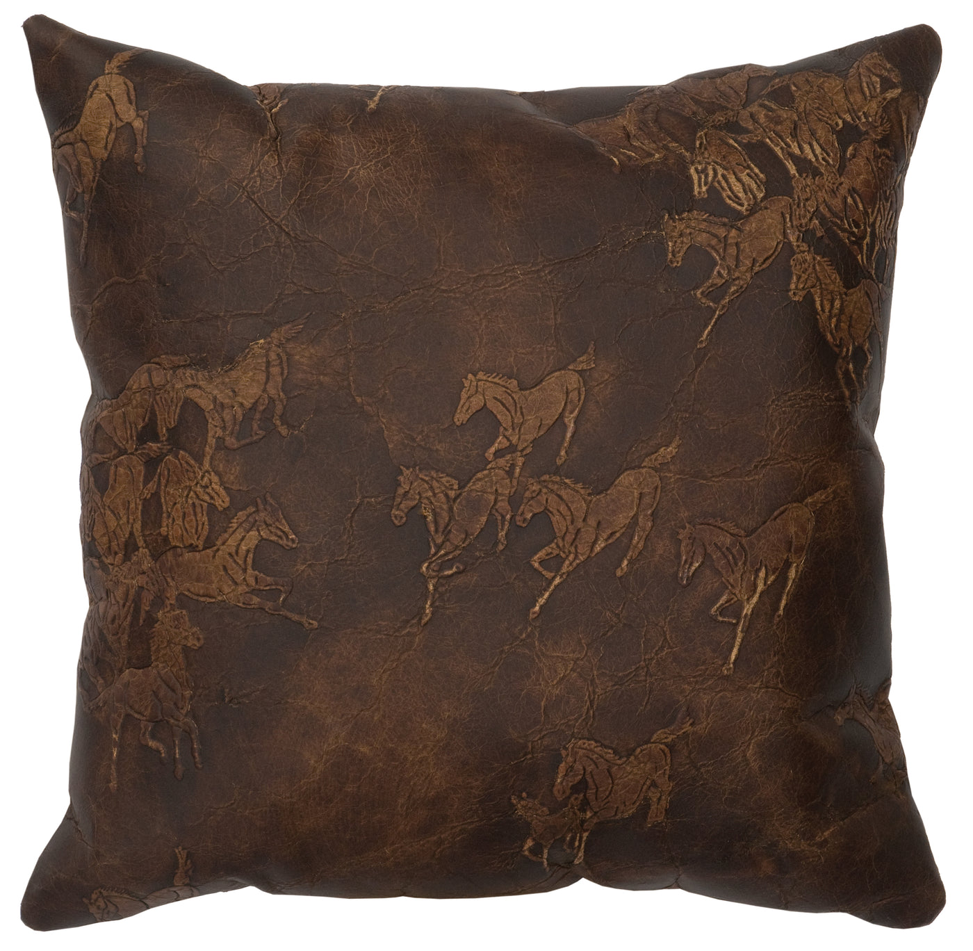 Canvello Settler Leather Pillow - Fabric Back - 16" x 16"