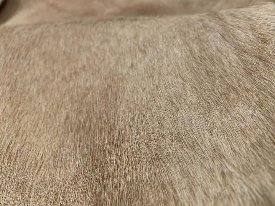 Canvello 100% Natural Brazilian Cowhide Rug 6'8" x 7'1" - Canvello