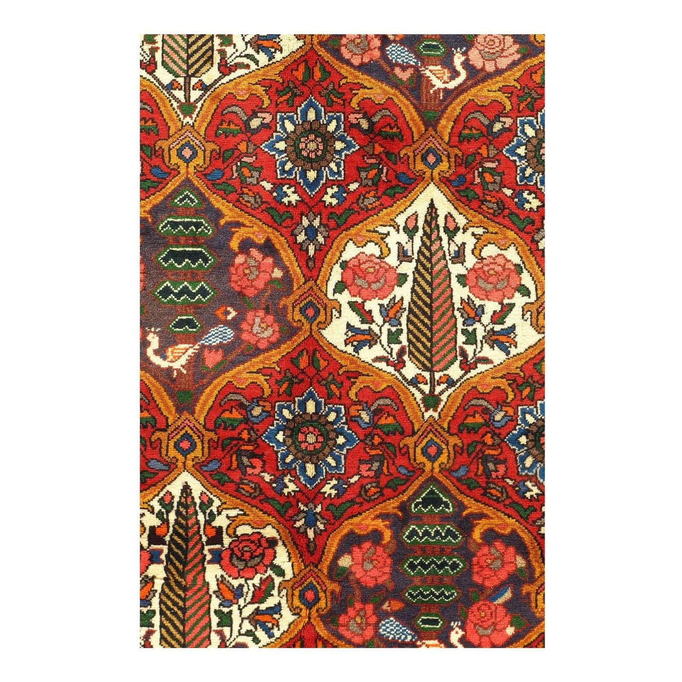 Canvello 1980s Silkroad Bakhtiari Hand Knotted Wool Rugs - 6'8" x 10'2" - Canvello