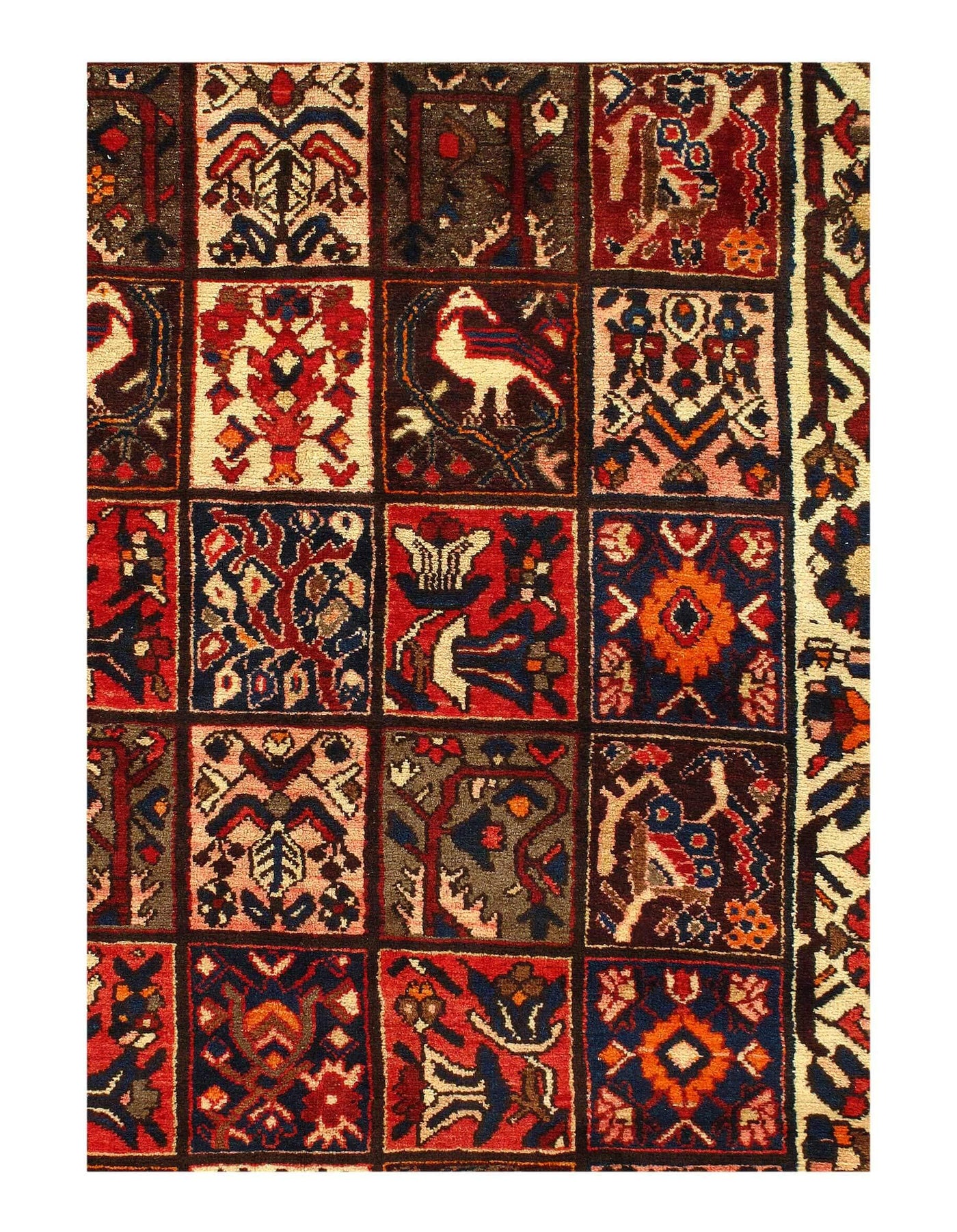 Canvello Antique Bakhtiari Modern Wool Rugs - 5'5'' X 9'7''