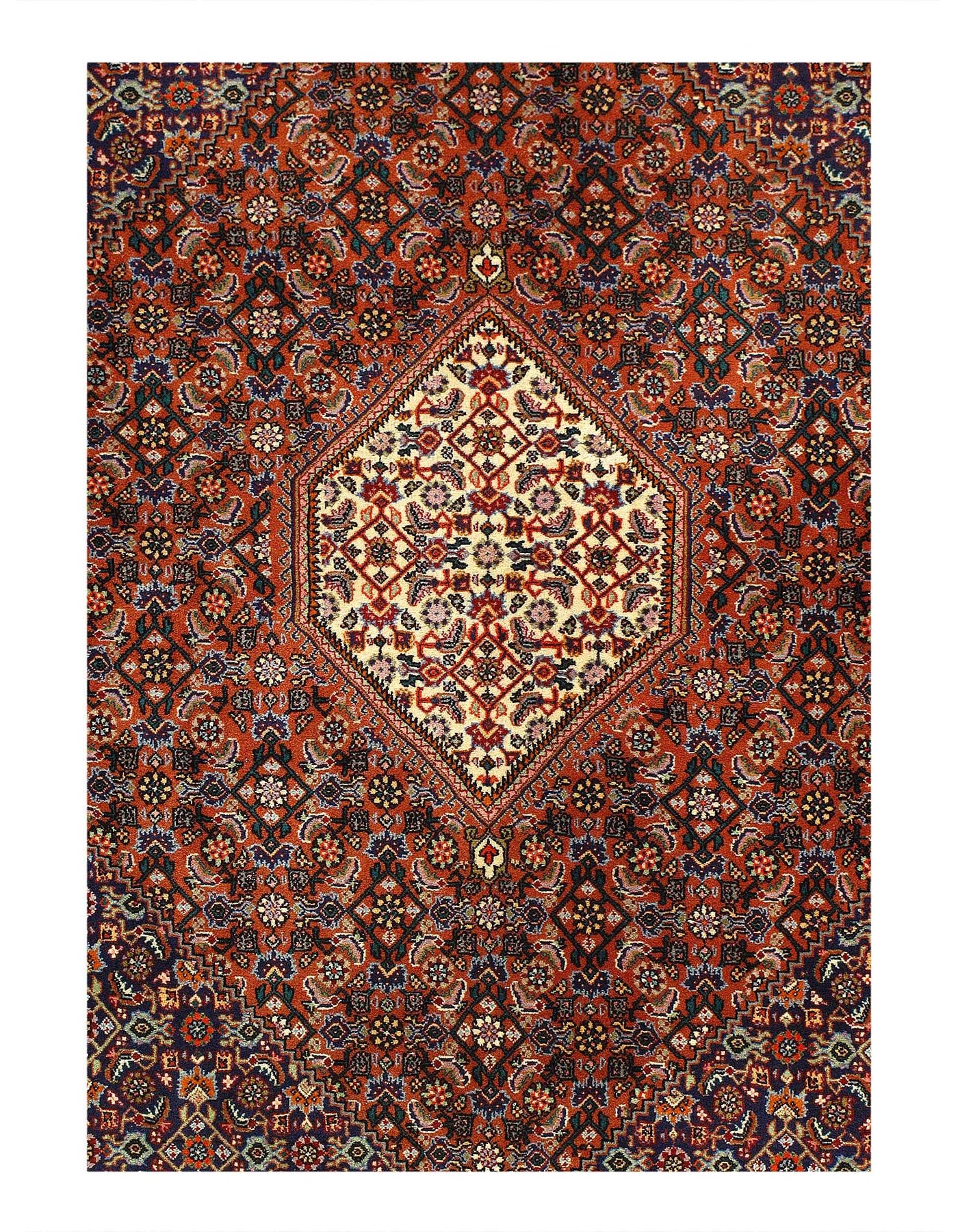 Canvello Fine hand knotted Persain Bidjar Rug - 3'8'' X 5'8'' - Canvello