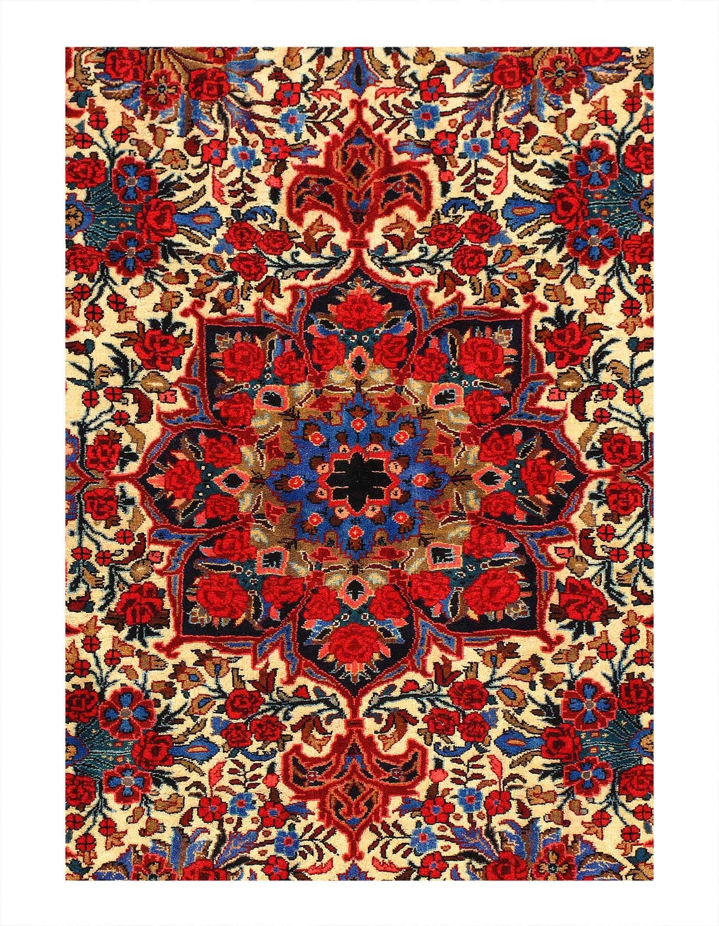 Canvello Fine Hand Knotted Silkroad Bidjar Rug - 3'11'' X 5'3'' - Canvello