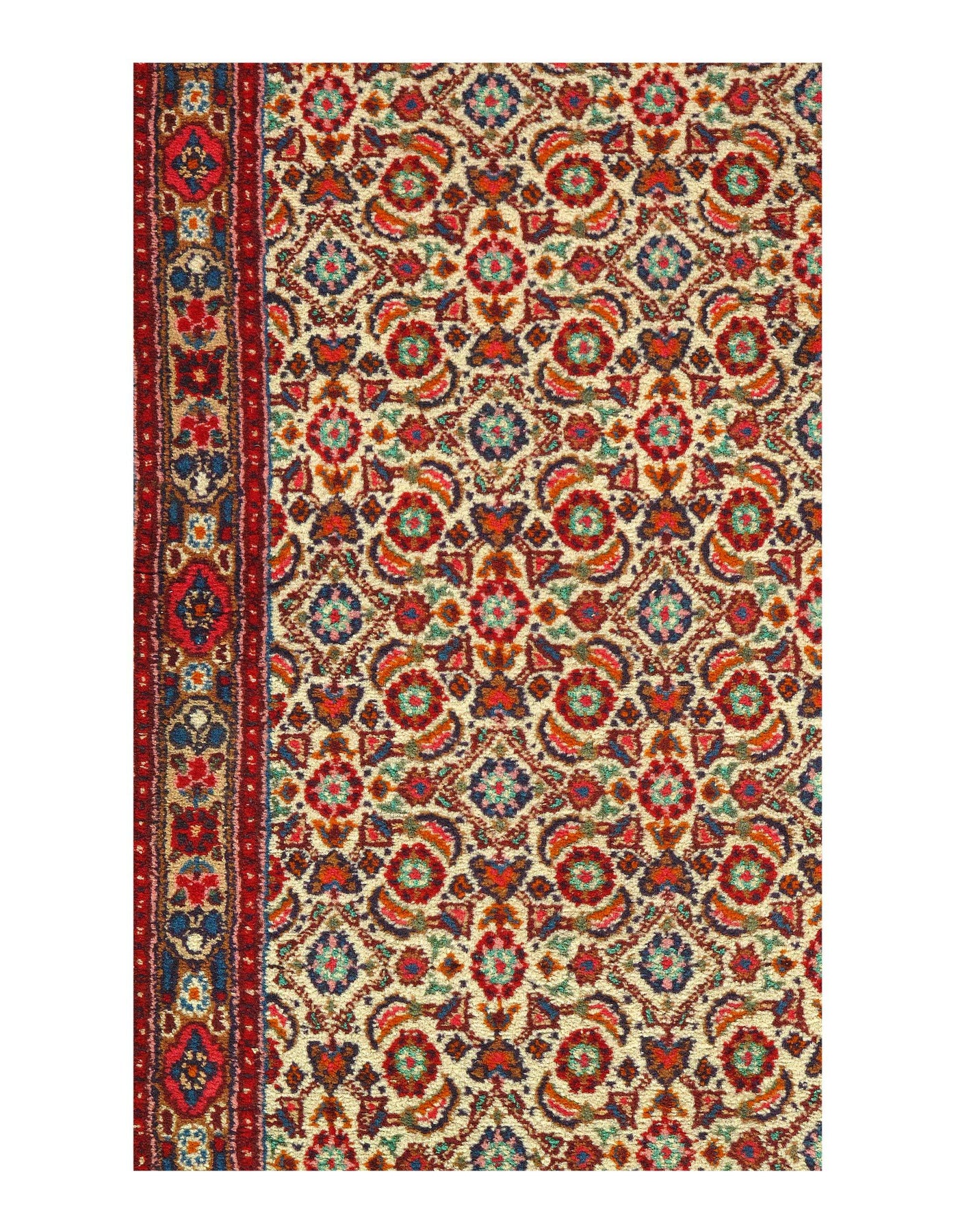 Canvello Hand Knotted Mood Cotton Runner Rugs - 2'7'' X 13'11''