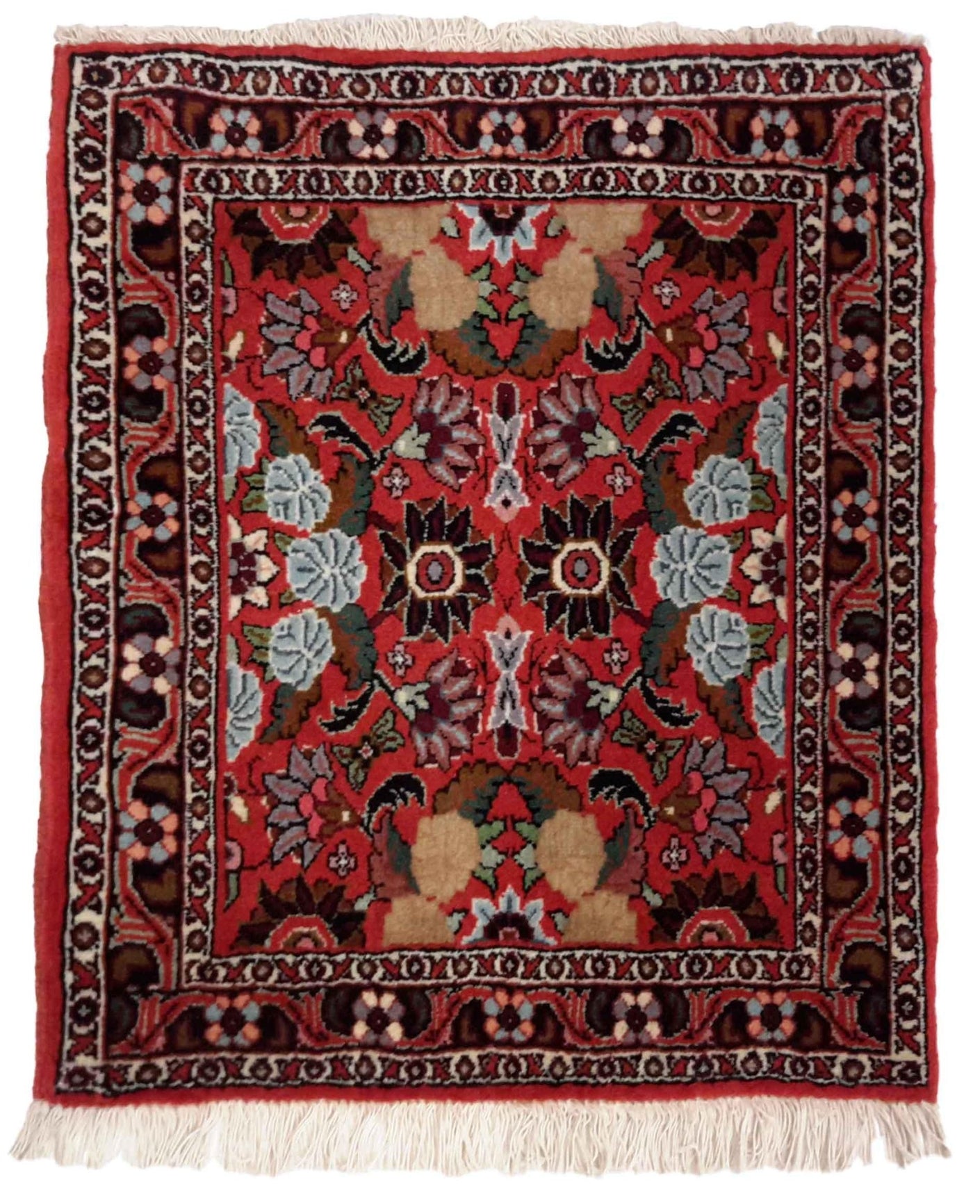 Canvello Hand Made Formal All Over Silkroad Bidjar Rug - 1'9'' X 1'11'' - Canvello