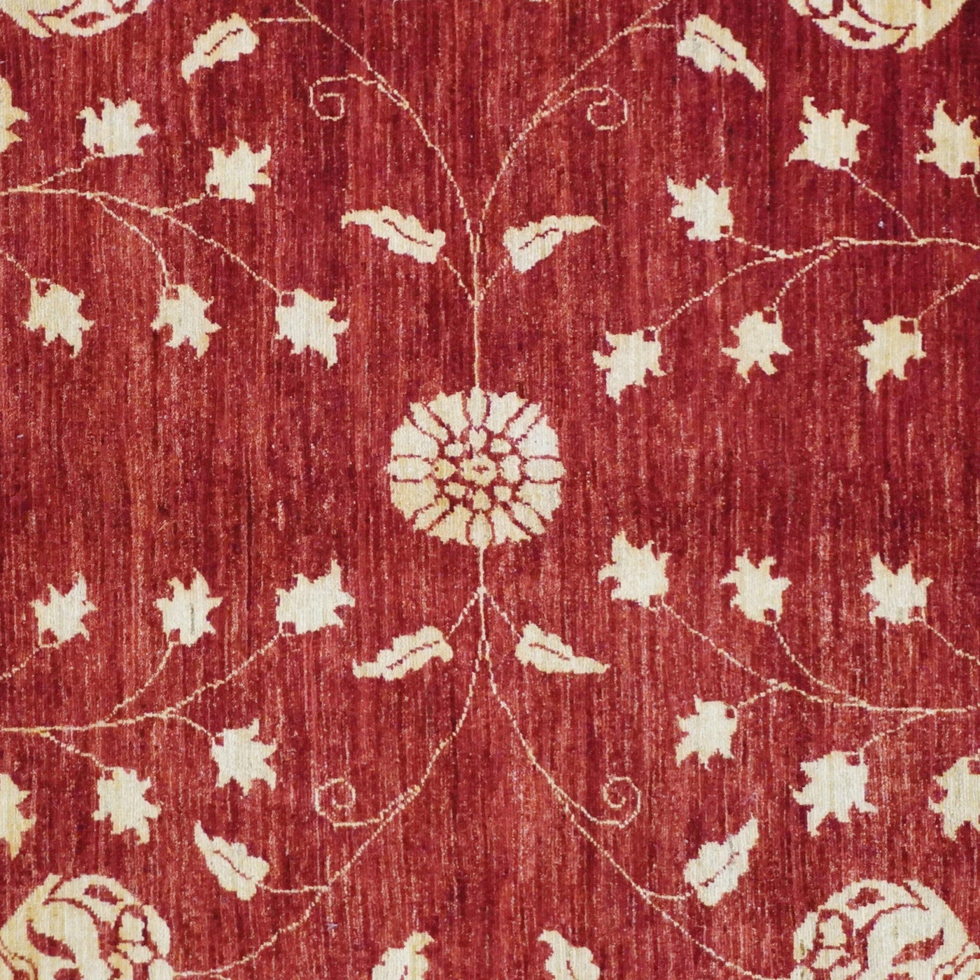 Canvello Hand Made Transitional All Over Pakistan Pishavar Rug - 8'0'' X 11'4'' - Canvello