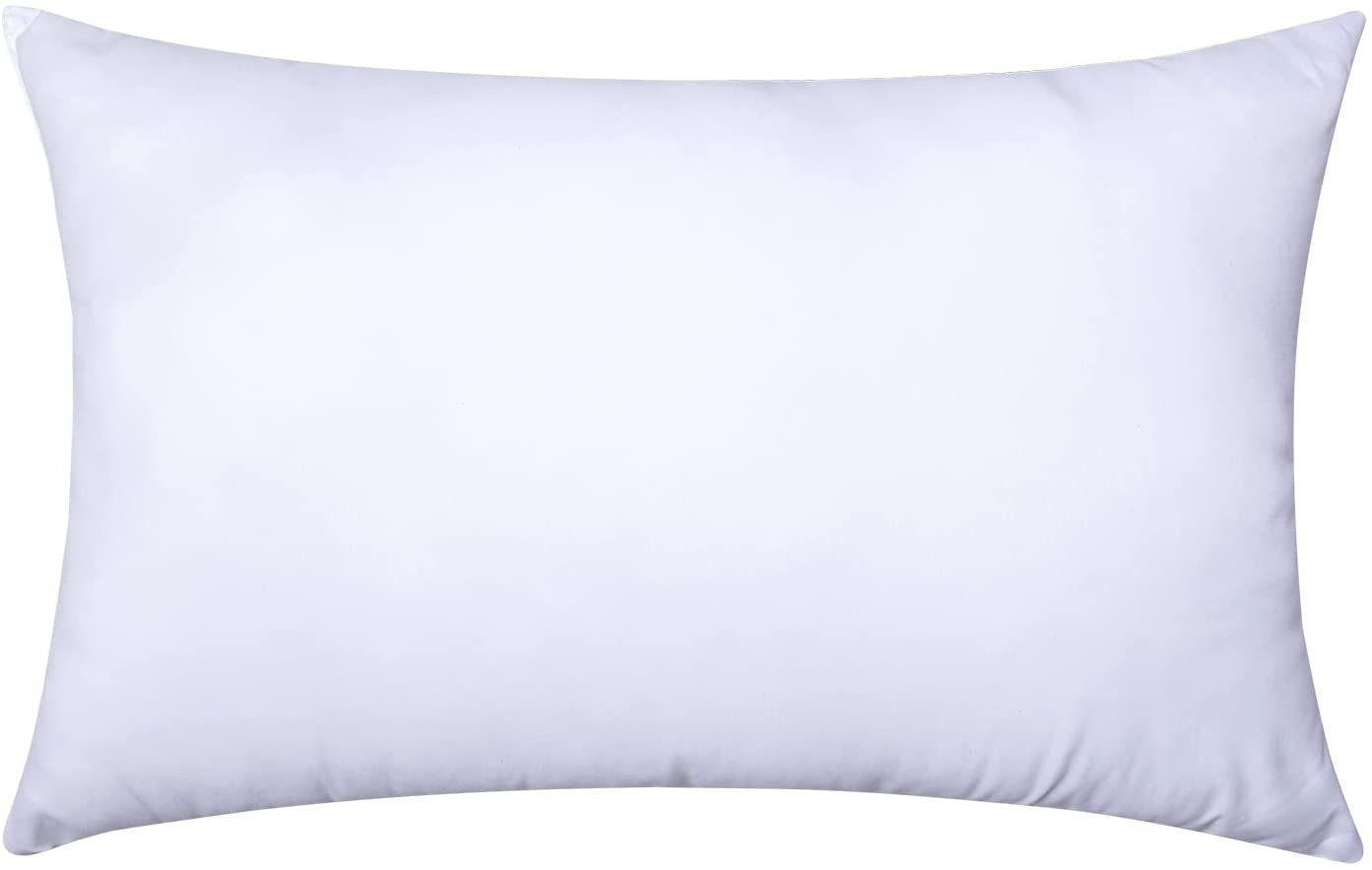 Canvello Handmade Velvet Throw Pillows - 16 x 24 in (40 x 60 cm)