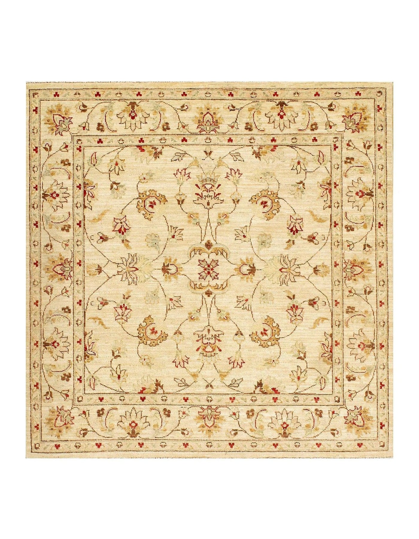 Canvello Ivory Farahan Lamb's Wool Rug - 5' X 5'2" - Canvello