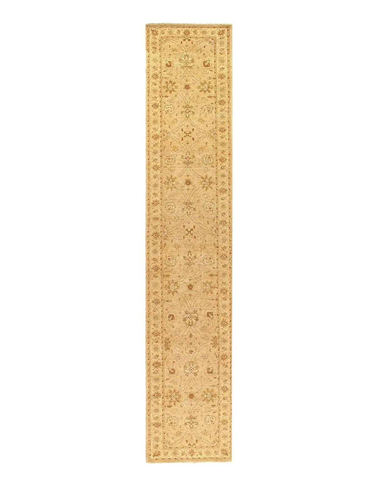 Corredor Farahan anudado a mano fino marfil Canvello - 2'9'' X 17'6''