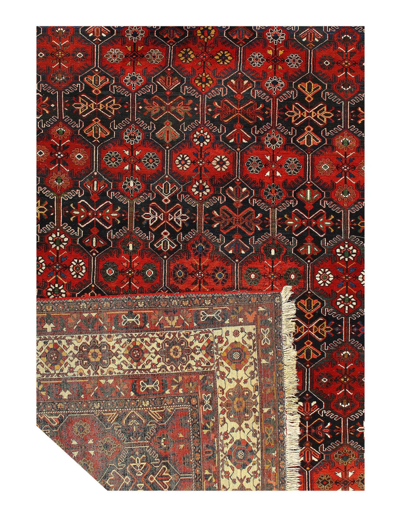 Canvello Silkroad Antique Hand Knotted Bakhtiri Rug - 11'9'' X 18'1'' - Canvello