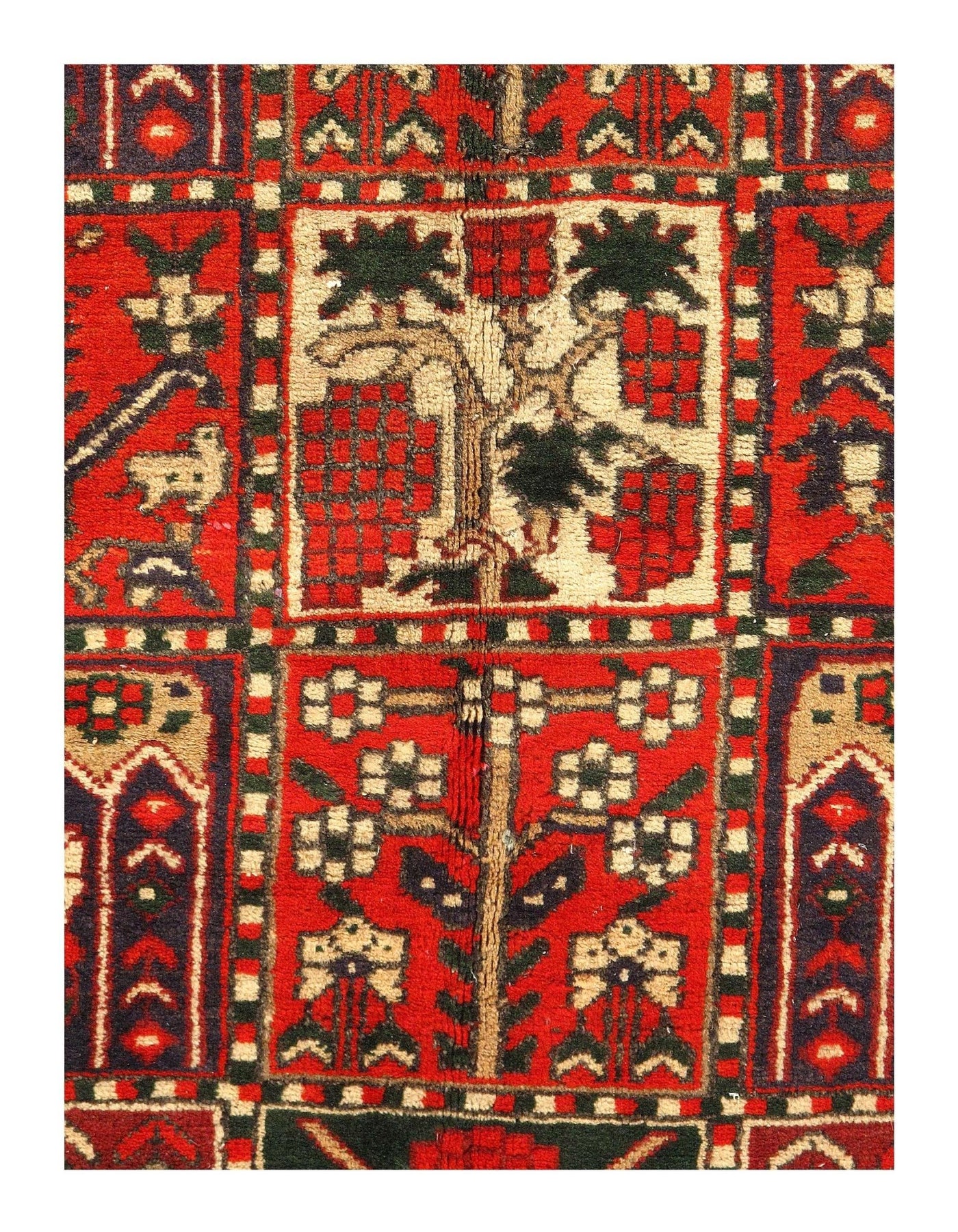 Canvello Silkroad Bakhtiari Hand Knotted Wool Rugs - 6'7" x 9'5" - Canvello