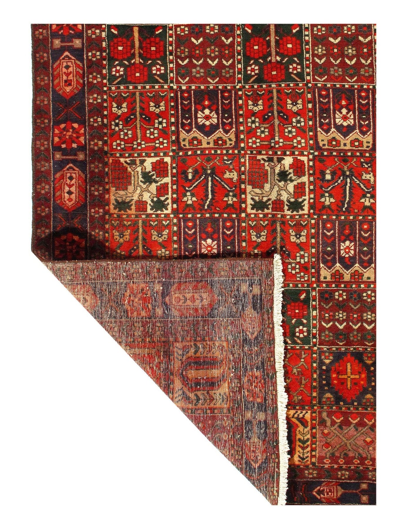 Canvello Silkroad Bakhtiari Hand Knotted Wool Rugs - 6'7" x 9'5" - Canvello