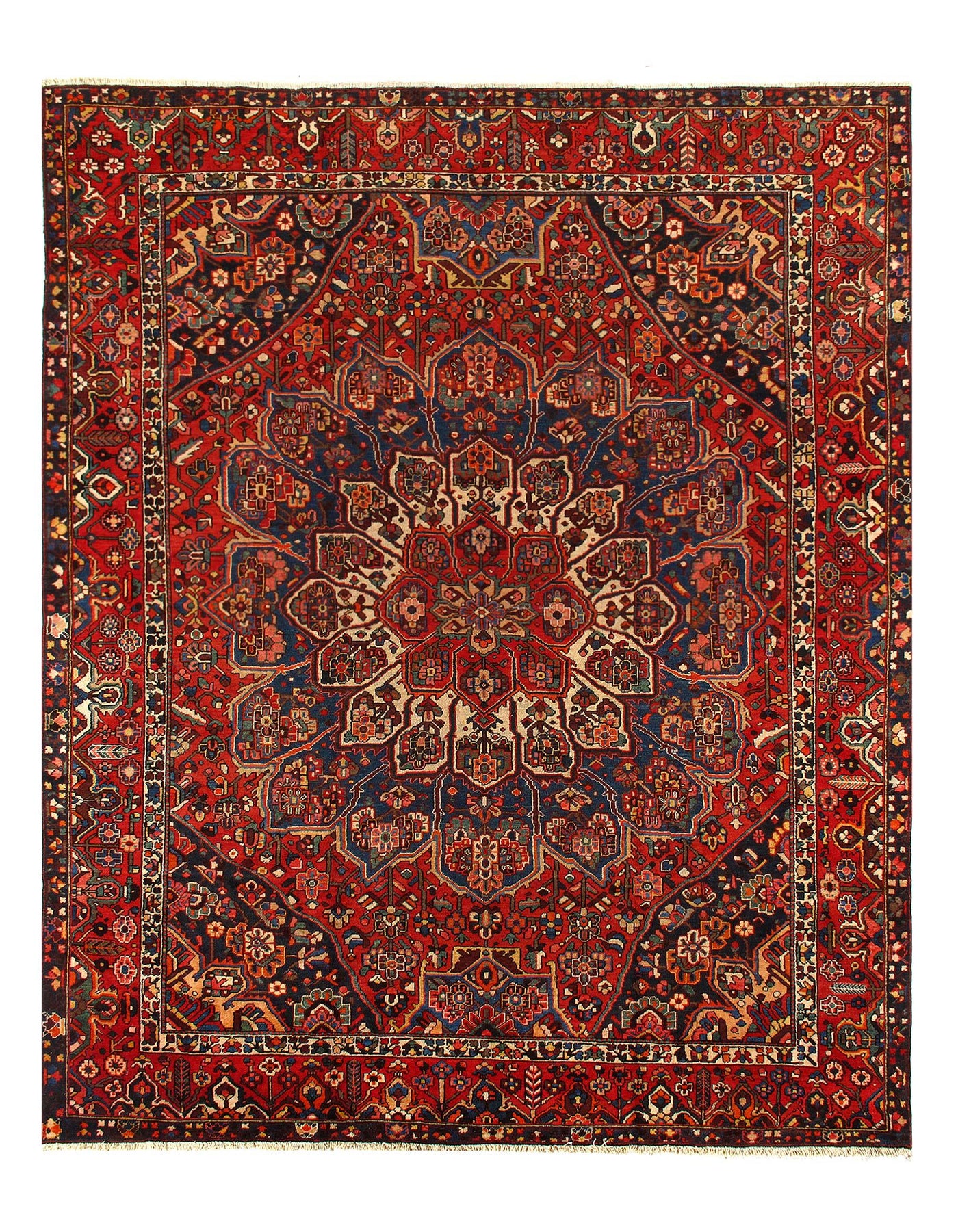 Canvello Persian Bakhtiari Navy Blue And Red Rug - 10'8'' X 12'11''