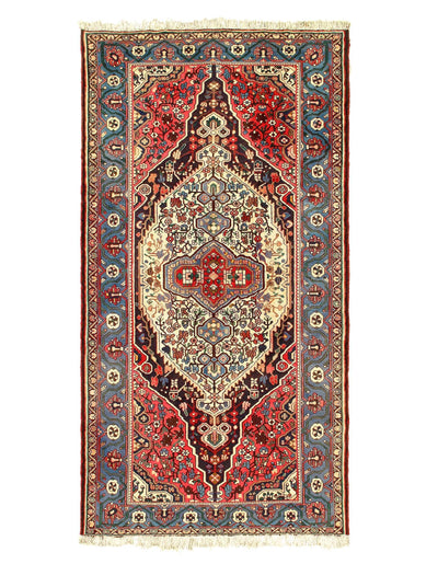 Canvello Persian Bakhtiari Red And Gray Rug - 5' X 10'