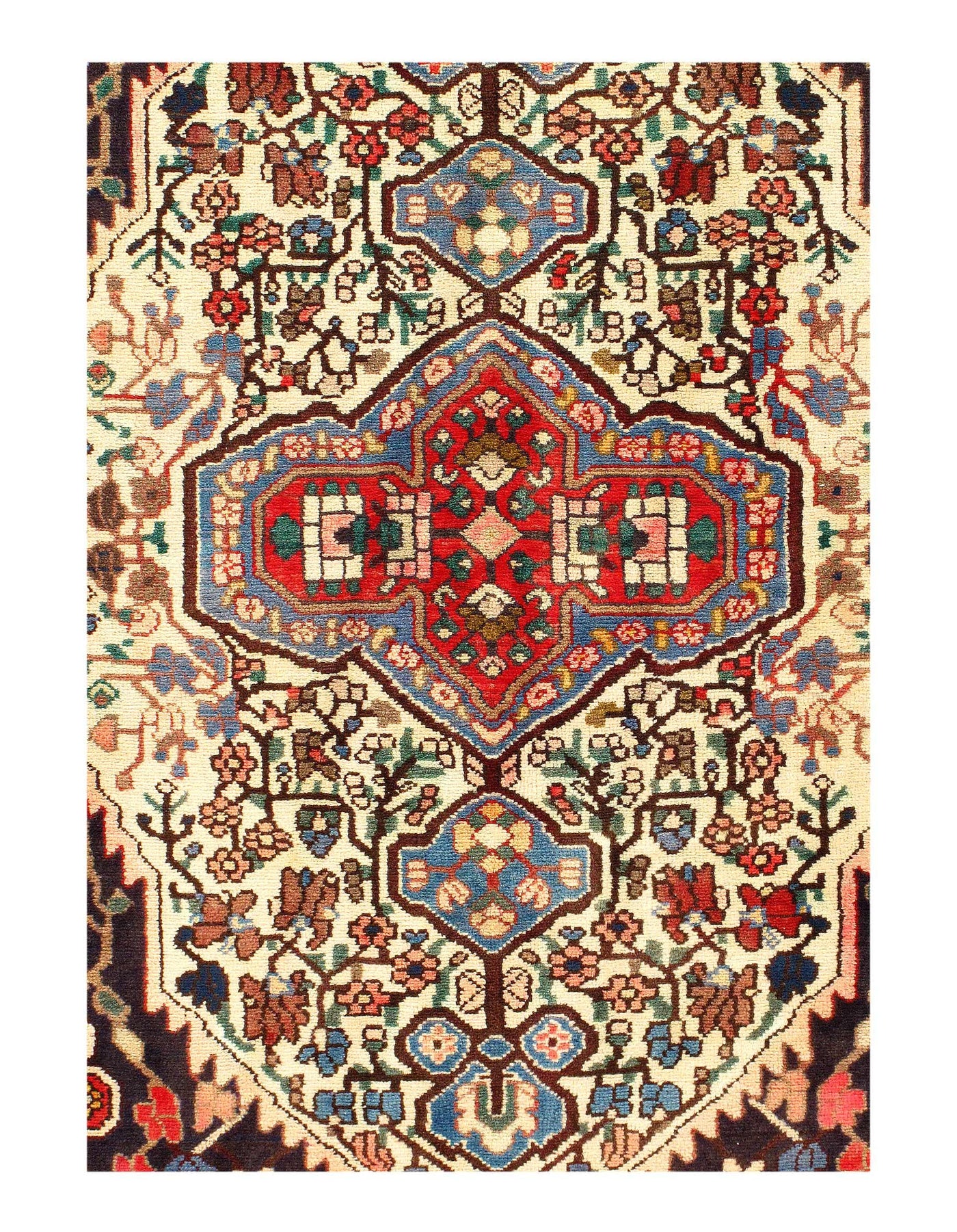 Canvello Persian Bakhtiari Red And Gray Rug - 5' X 10'