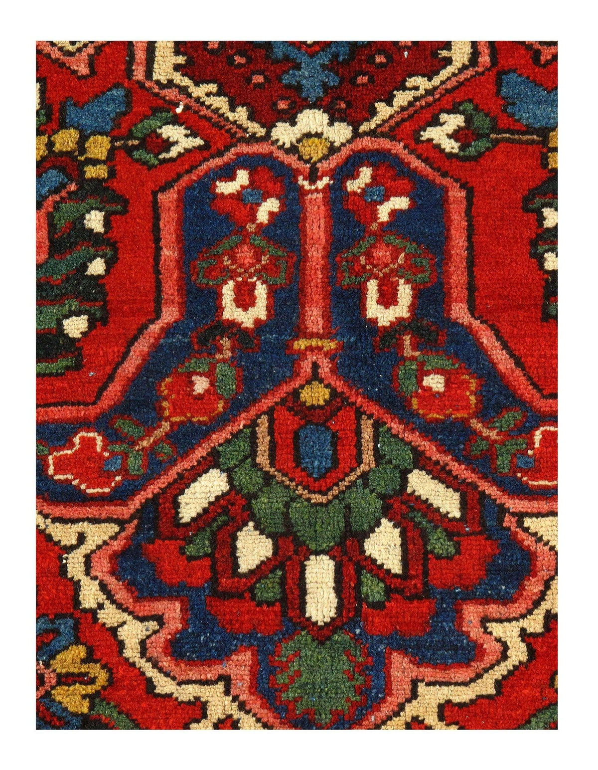 Canvello Silkroad Bakhtiari Wool Hand Knotted Rugs - 11' X 14'1'' - Canvello