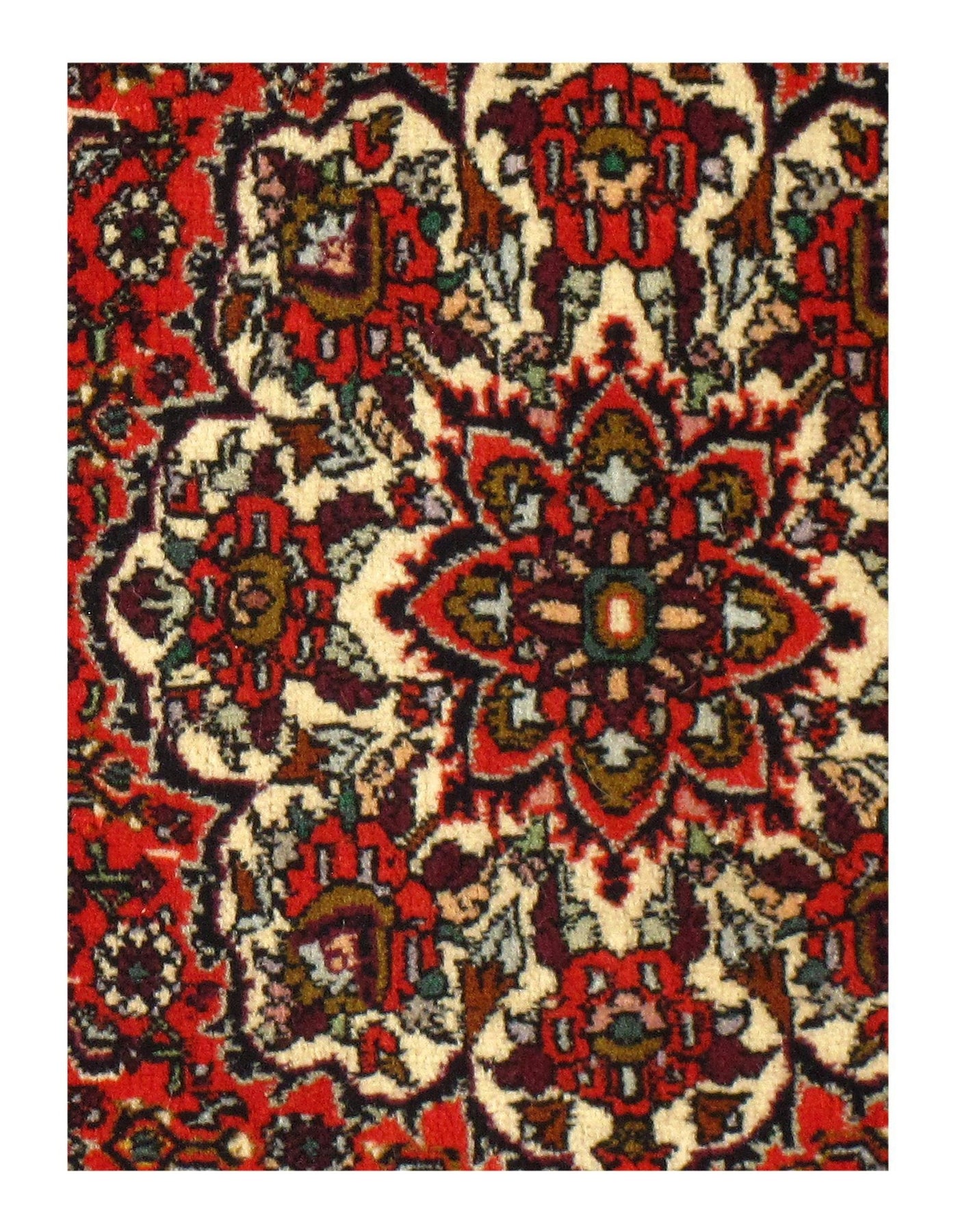 Canvello Silkroad Bidjar Yellow And Red Rug - 1'10" x 2'4" - Canvello