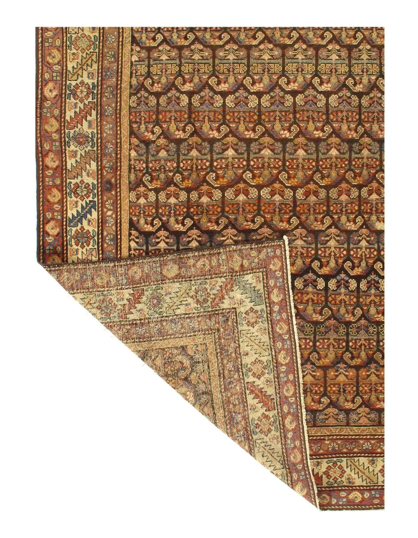 Canvello Silkroad Hamadan Brown Rugs For Living Room - 5' X 8'9" - Canvello