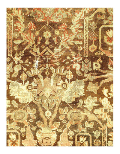 Canvello Sultanabad Brown Rugs For Living Room - 10'8'' X 13'9''